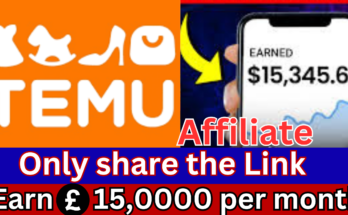 Temu Affiliate Program